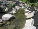 water features